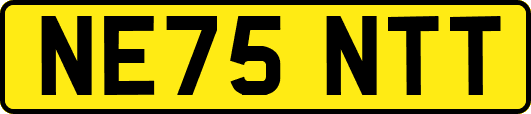 NE75NTT