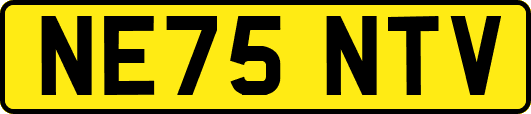NE75NTV
