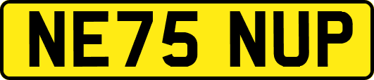 NE75NUP