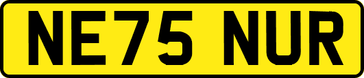 NE75NUR