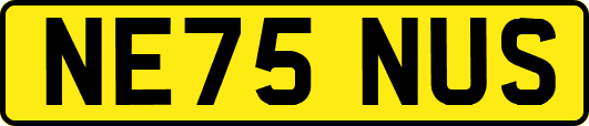 NE75NUS