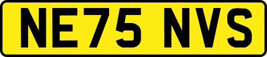 NE75NVS