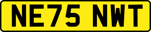 NE75NWT