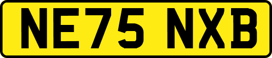 NE75NXB