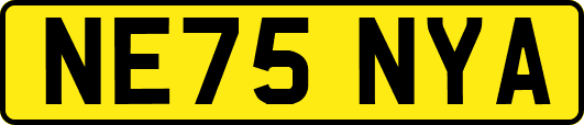 NE75NYA