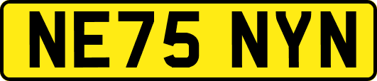 NE75NYN