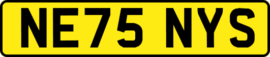 NE75NYS
