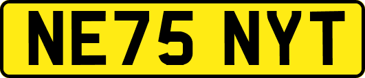 NE75NYT