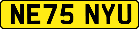 NE75NYU