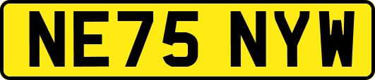 NE75NYW