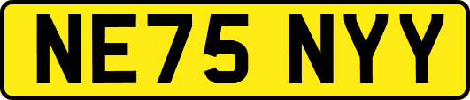 NE75NYY