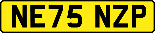 NE75NZP