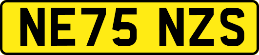 NE75NZS
