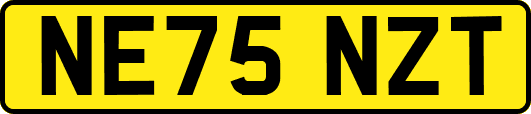 NE75NZT