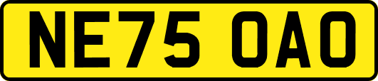 NE75OAO