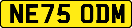 NE75ODM