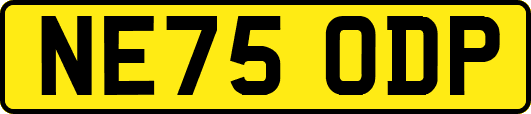 NE75ODP