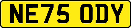 NE75ODY