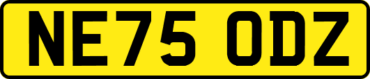 NE75ODZ