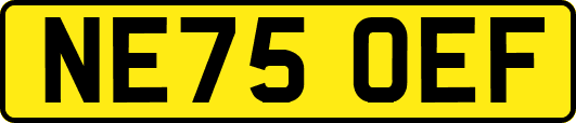 NE75OEF