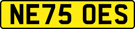 NE75OES