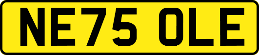 NE75OLE