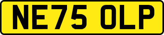 NE75OLP