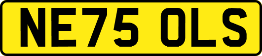 NE75OLS