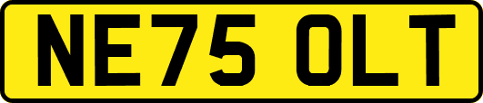 NE75OLT