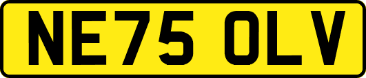 NE75OLV
