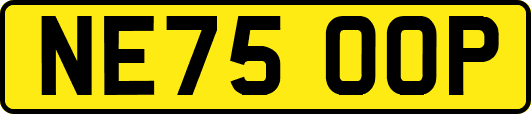 NE75OOP