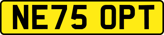 NE75OPT