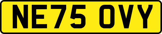 NE75OVY