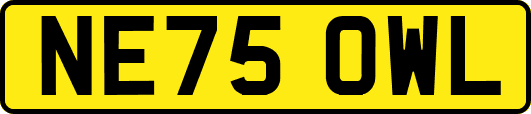 NE75OWL