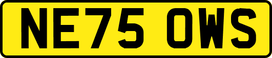 NE75OWS