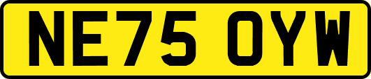 NE75OYW