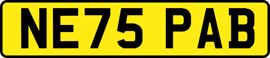NE75PAB
