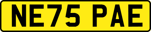 NE75PAE