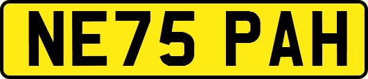 NE75PAH