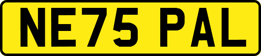 NE75PAL