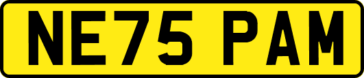 NE75PAM