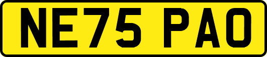 NE75PAO