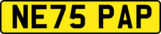 NE75PAP