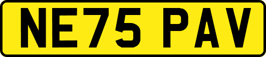 NE75PAV