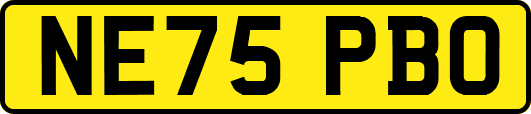 NE75PBO