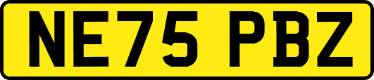 NE75PBZ