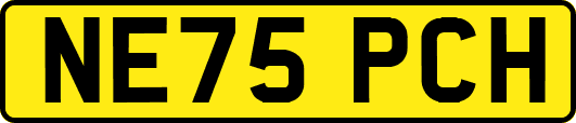 NE75PCH