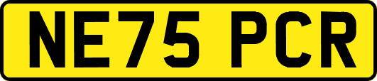 NE75PCR