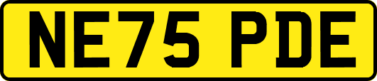 NE75PDE