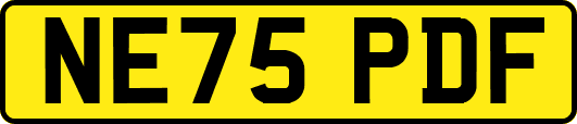 NE75PDF